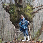 EL ENCANTO DE NUESTROS BOSQUES EN INVIERNO